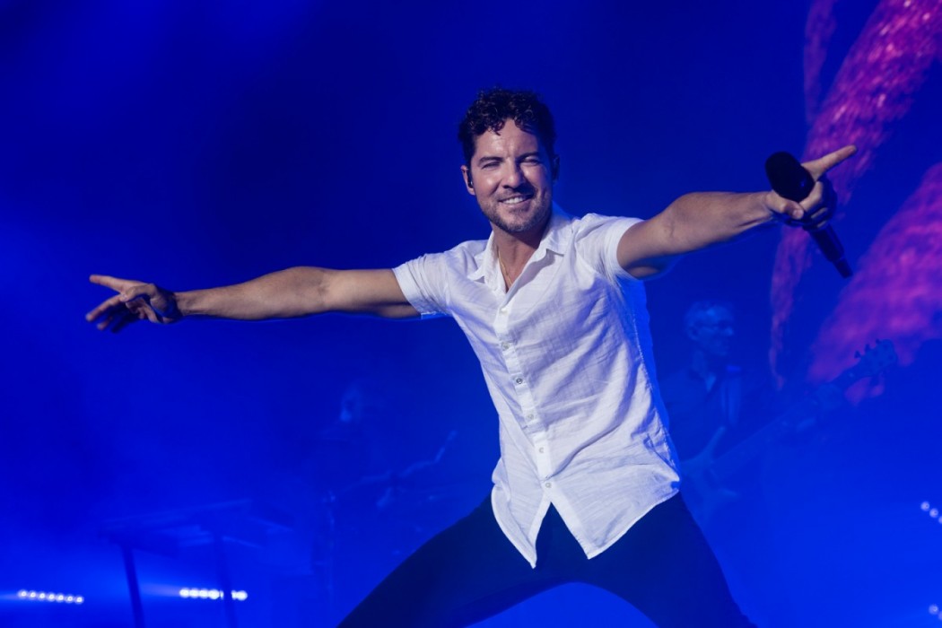 DAVID BISBAL: David Bisbal en Mallorca 2019 - Fotógrafo musical y de conciertos en Mallorca - Luis Sergio Carrera, fotógrafo freelance Mallorca