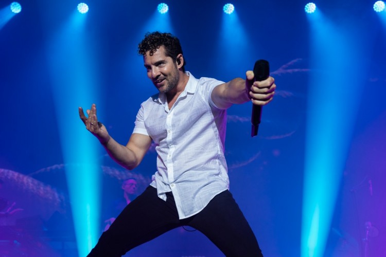 5 motivos fotógrafo de conciertos: Fotógrafo especializado en fotografía de conciertos para músicos, bandas y grupos de música en Mallorca.. - Luis Sergio Carrera, fotógrafo freelance Mallorca